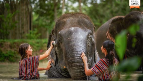 ภูเก็ต: เยี่ยมชม Elephant Jungle Sanctuary ครึ่งวันพร้อมอาหาร