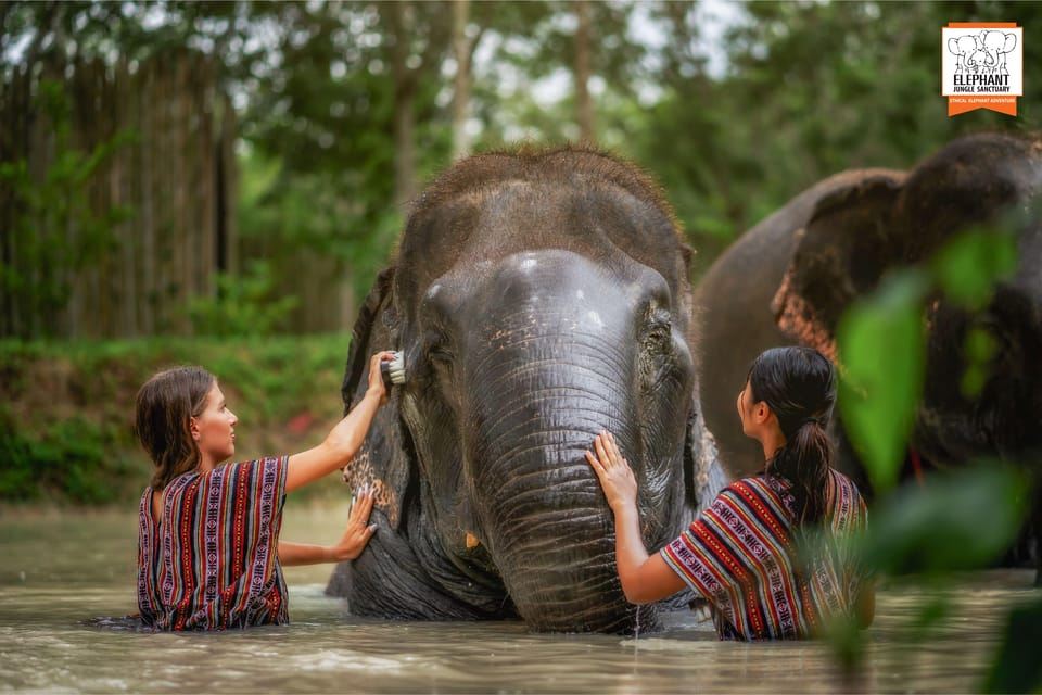 ภูเก็ต: เยือนศูนย์อนุรักษ์ช้างพร้อมอาหารครึ่งวัน
