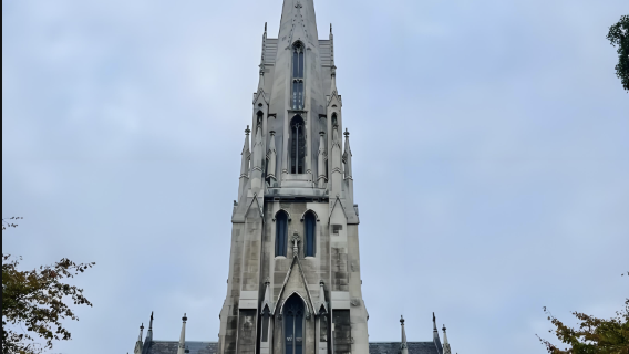 Новая Зеландия, Данидин: Первая церковь Отаго/Площадь восьмерки/Альбатрос — готический городок