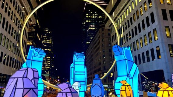 Montreal: Tur Jalan Kaki Pribadi dengan Lampu Natal