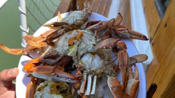 Antalya: Excursión exclusiva de pesca en grupo reducido - Pesca y parrilla