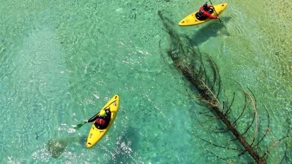 Bovec: Khóa học chèo thuyền kayak 1 ngày cho người mới bắt đầu trên sông Soča