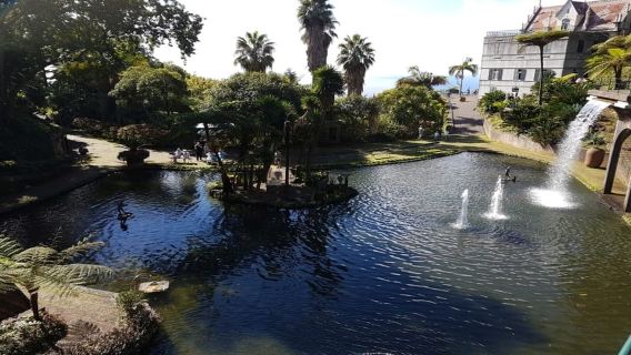 Madeira: tour privato guidato di mezza giornata nei giardini