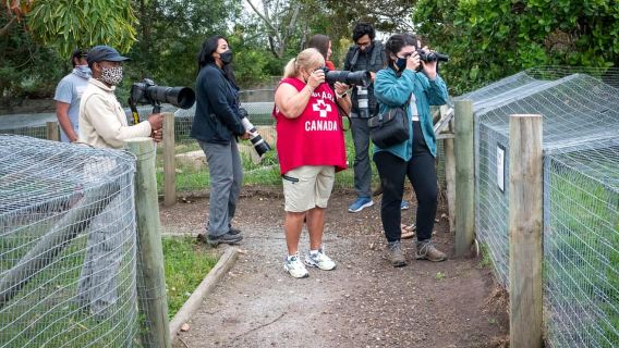 Plettenberg Bay: Private Guided Wildlife Photography Tour
