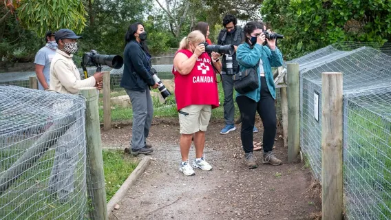 Plettenberg Bay: tour fotografico privato guidato sulla fauna selvatica