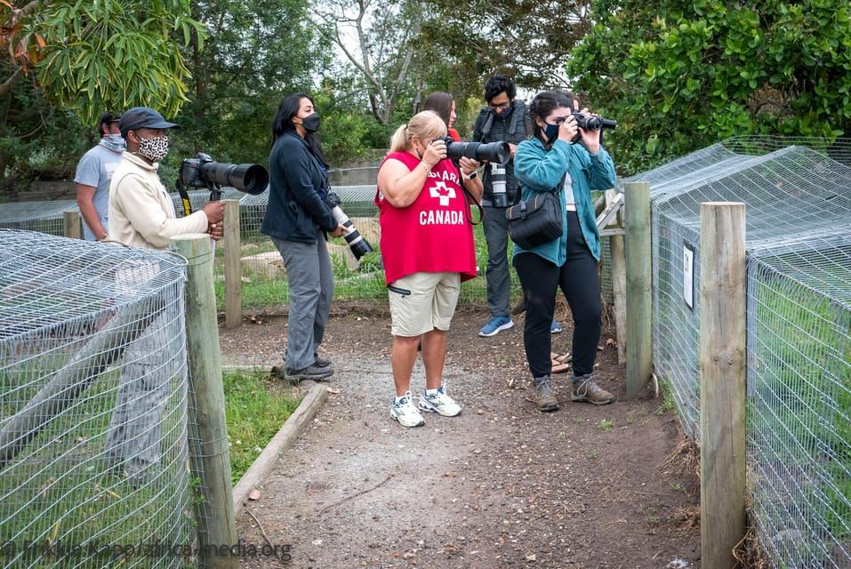 Plettenberg Bay: Private Guided Wildlife Photography Tour