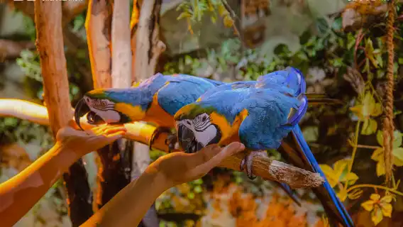 DISCOVER SEOUL PASS 首爾轉轉實體卡