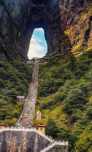 [Easy travel] Tianmen Mountain National Forest Park 1-day tour optional route A VIP fast track