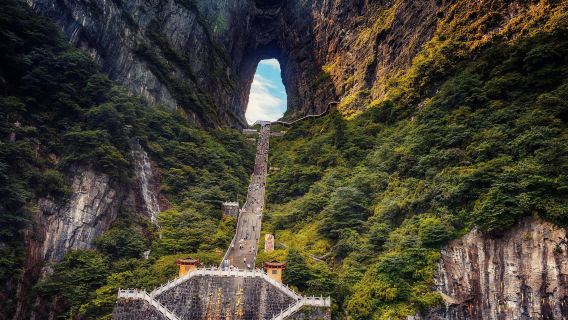 8-person small group * Zhangjiajie Tianmen Mountain + Grand Canyon Glass Bridge 1-day tour Glass Bridge + Glass Plank Road