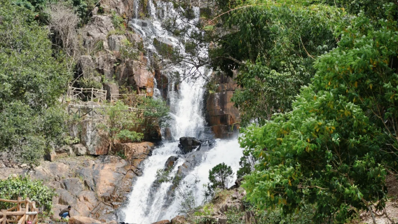 1-day tour in Dalat suburbs