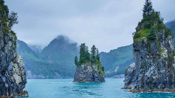 美國阿拉斯加州西沃德船港+基奈峽灣國家公園+冰川觀景台一日遊