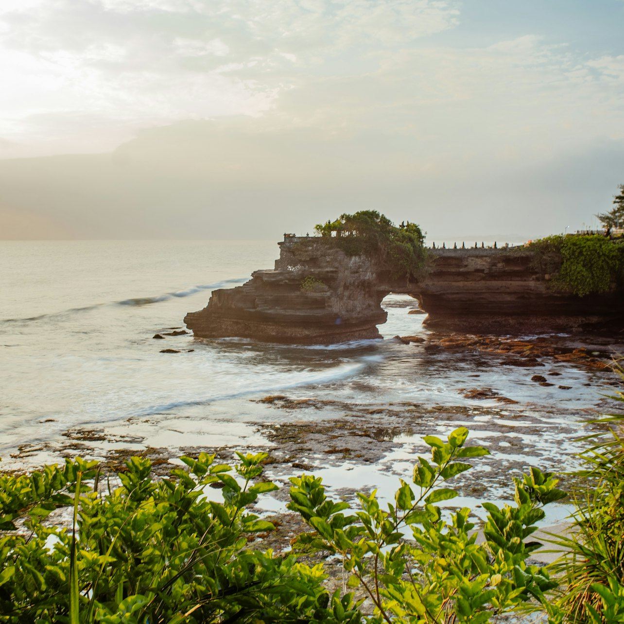 Tanah Lot Temple & Ubud: Full-Day Guided Tour + Roundtrip Transfer