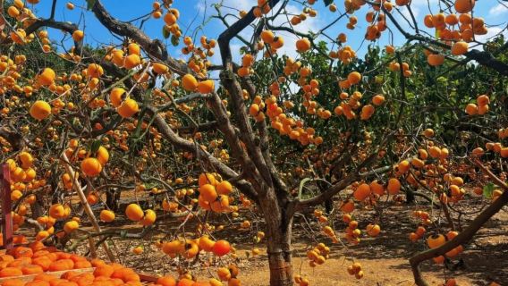 The Heart of Guilin: A Journey Through Culture, Heritage & Countryside Serenity