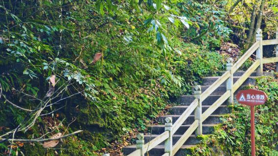 Excursión de un día a Shenpugou en Deyang (Sichuan) y al Museo Sanxingdui con servicio de coche privado con conductor y atención en inglés.