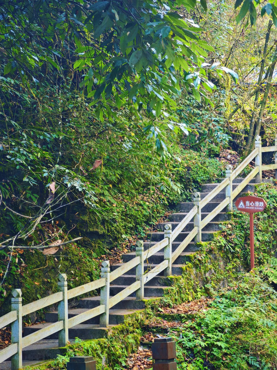 Excursión de un día a Shenpugou en Deyang (Sichuan) y al Museo Sanxingdui con servicio de coche privado con conductor y atención en inglés.