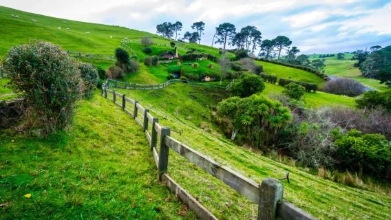 霍比特村+愛歌頓農場一日遊|中文包車|行程可調