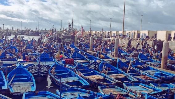 Excursión de un día a Essaouira desde Marrakech