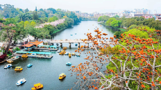Tour cultural por el Templo Han Yu en Chaozhou y visita al antiguo pueblo de Longhu en Guangdong