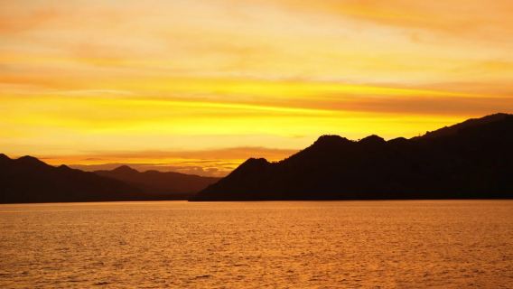Luxury speedboat 1-day tour to Komodo: Koh Rok + Pulau Kalong + snorkeling + bat sunset