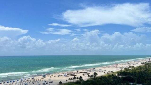 美國+邁阿密小哈瓦那+溫尼伍德牆一日遊/行程可調-可定制