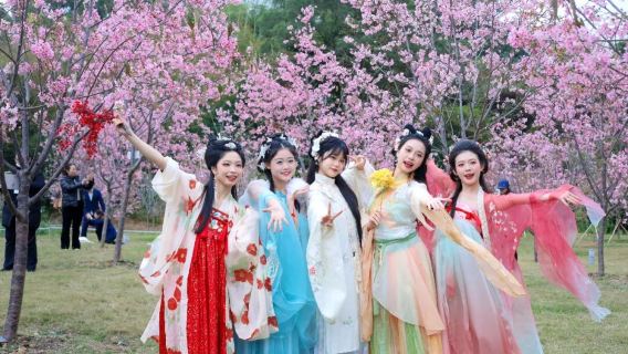 肇慶七星巖+鼎湖山+古城牆+踏青賞花一日遊【私人導覽含門票】