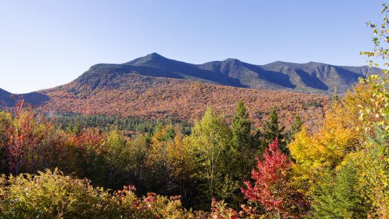 Lawatan sehari dari Boston ke Hutan Negara White Mountain dengan sewaan peribadi termasuk pengangkutan pergi-balik (dalam bahasa Cina)