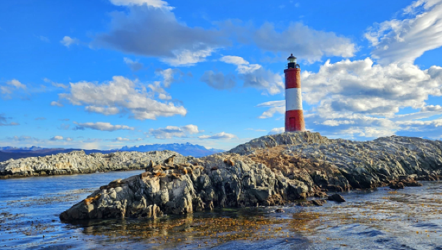 Ushuaia: Beagle Channel Catamaran Tour