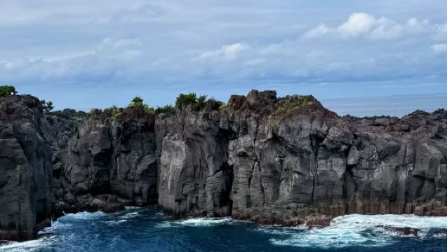 Lawatan Sehari Klasik Izu: Gunung Omuro - Zoo Kaktus - Pantai Jogasaki - Jambatan Gantung Kadowaki