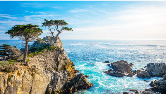 San Francisco ida y vuelta: Monterey, el pueblo de Carmel-by-the-Sea y la ruta escénica de 17-Mile Drive | Descubre la Carretera 1