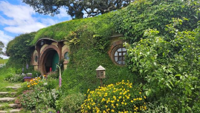 New Zealand Auckland pergi-balik: Kampung Hobbit + Gua Kunang-Kunang Waitomo + Blue Spring sewaan peribadi pelancongan tersuai