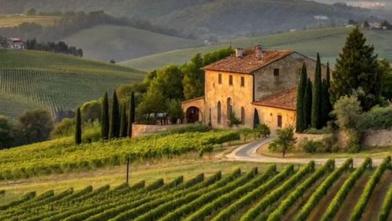 Itali Florence Pergi-Balik: Ladang Anggur Tuscany + Bandar Abad Pertengahan + Sewaan Peribadi Berbahasa Cina + Penyesuaian