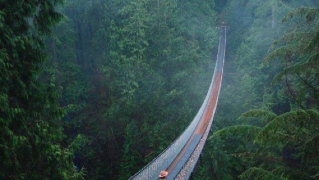 Lawatan sehari sewaan peribadi Vancouver | Taman Stanley + Jambatan Gantung + Pulau Granville + Gastown |