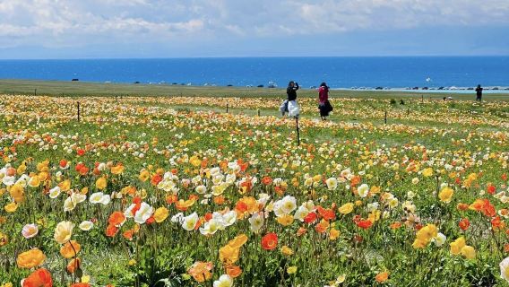 Lawatan Sehari Sewaan Peribadi Tasik Sayram Ili Xinjiang