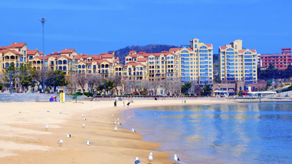 Shandong Weihai: Familjedagstur med privat hyrbil till Liugong Island - Kulturupplevelse och havsvy