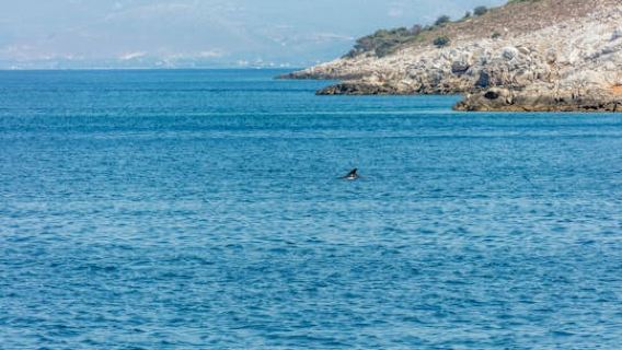 Adults-Only Cruise in the Aegean with Transport