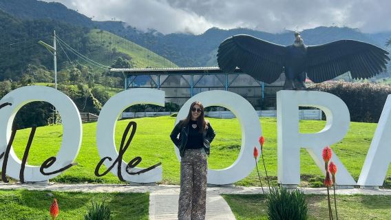 Valle di Cocora: tour condiviso con guida da Salento