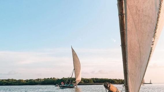 Stone town: Sunset Dhow Cruise with Drinks, Snacks & Music