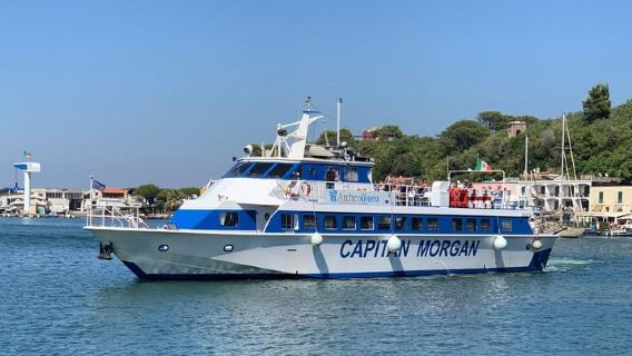 Procida: Tour of the island by boat.