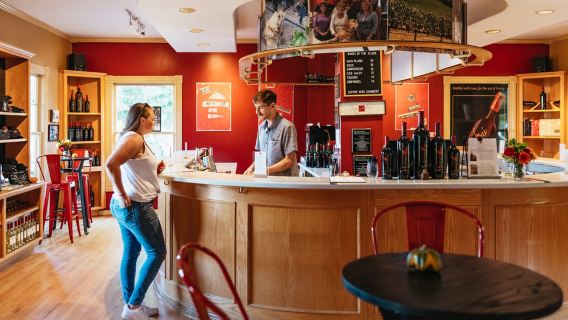 San Francisco: Half-Day Wine Country Excursion with Tastings