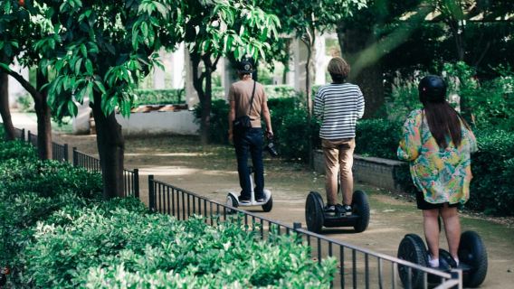 Granada: 1-Hour Panoramic Segway Tour