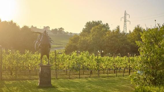 From Florence to Chianti: 2 Wineries with Dinner