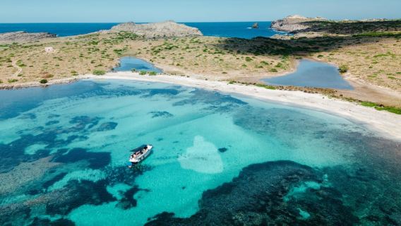 From Stintino: Half-Day MotorBoat Tour to Asinara