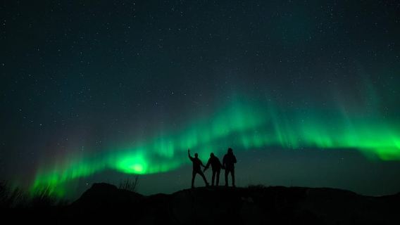 Svolvær: Ultimate Aurora Hunt