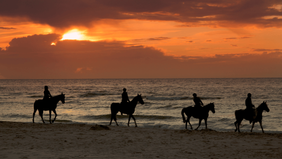 Puerto Rico: Afternoon Horseback Rides in Isabela Beach