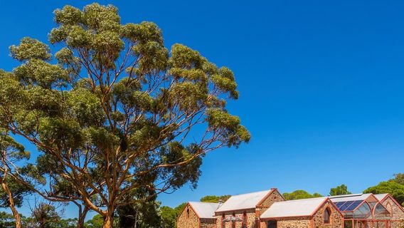 McLaren Vale