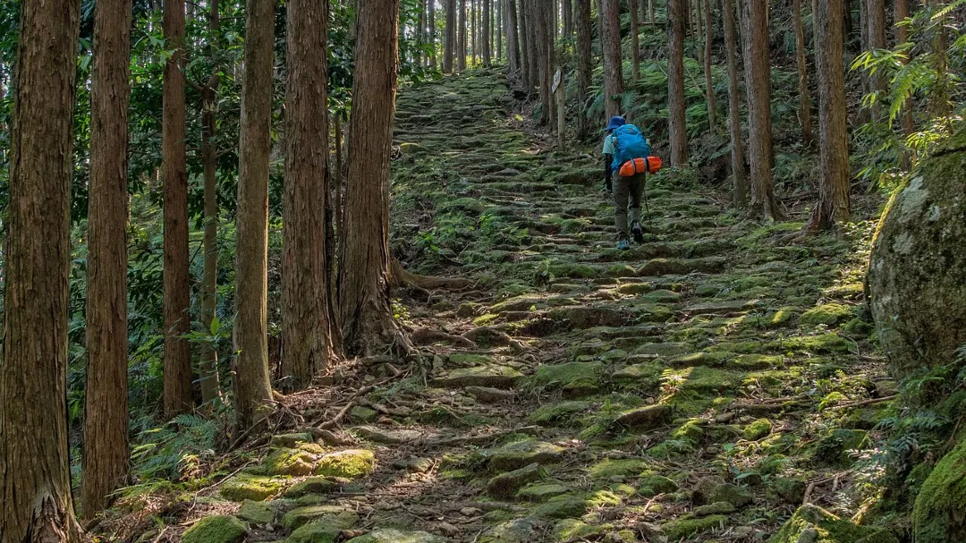 Hiking