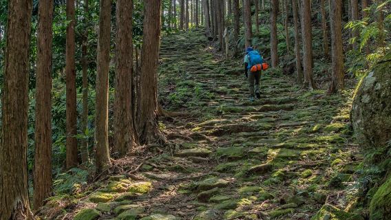 Tagesausflug nach Nagoya: Kumano Kodo, Nachi-Wasserfall, Kumano Nachi-Taisha und Seiganto-ji