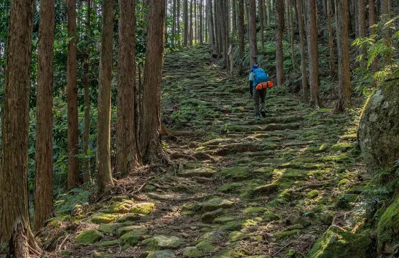 日本名古屋熊野古道輕徒步一日遊|那智瀑布+那智大社+青岸渡寺