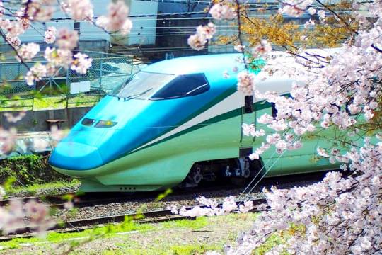 JR關西地區1日券/2日券/3日券/4日券/5日廣域周遊券交通卡