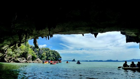 南寧+巴馬百鳥岩+百魔洞+長壽村一日遊【純玩獨立包團上門接送】